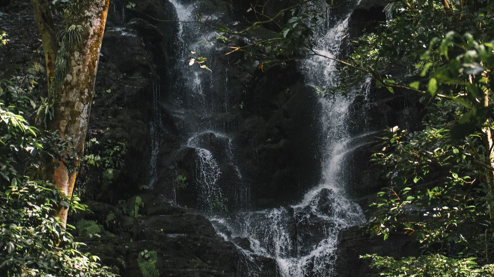 Waterfall in a forest in Guanacaste, Costa Rica